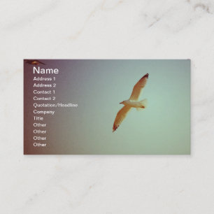 Carte De Visite Rétro mouette
