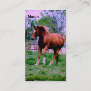 Carte De Visite Rêves du printemps, Sorrel Trotting