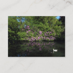 Carte De Visite Rhododendrons