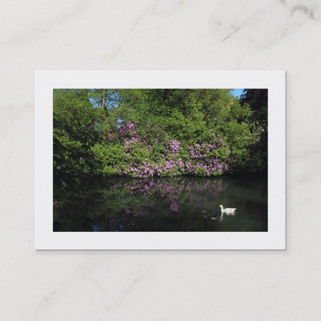 Carte De Visite Rhododendrons (frontière) (Devant)