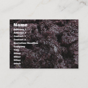 Carte De Visite Riz noir laotien thaïlandais [barrage de Khao Niao