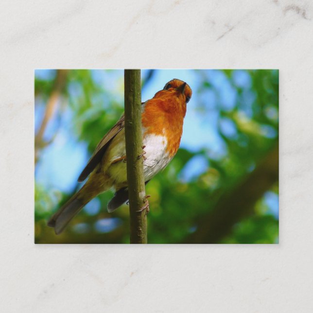 CARTE DE VISITE ROBINS (Devant)