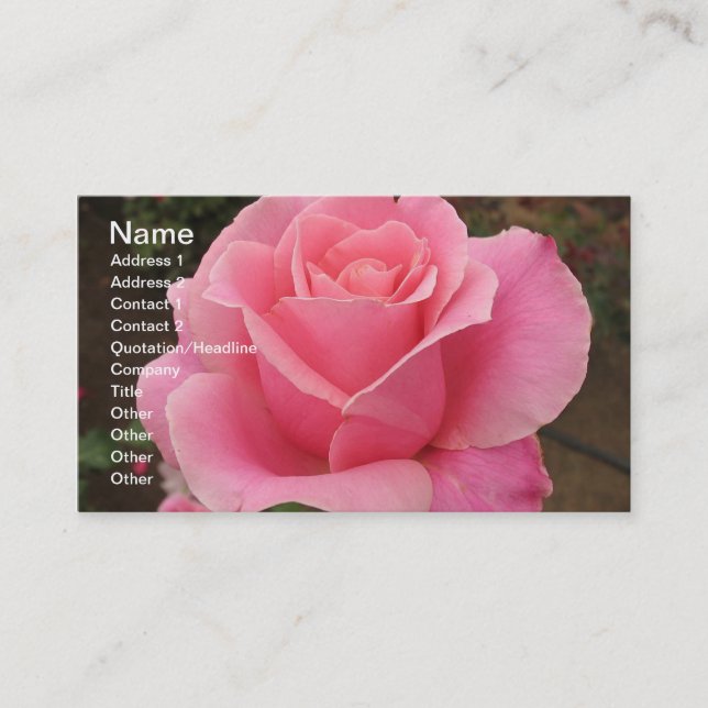 Carte de visite rose (Devant)