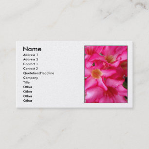 Carte De Visite Rose de désert