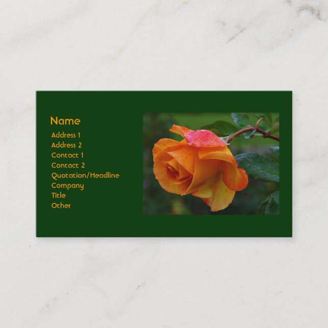 Carte de visite rose d'orange (Devant)