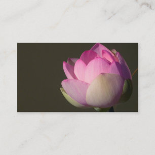 Carte de visite rose Lotus
