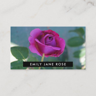 Carte De Visite Rose pourpre, fleuriste