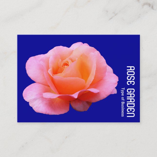Carte De Visite Rose rose (bleu foncé) (Devant)