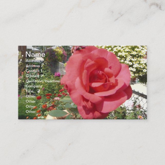 Carte De Visite Rose rose dans le jardin de grand-mère (Devant)