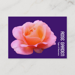 Carte De Visite Rose rose (violet profond)