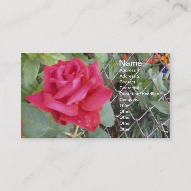 Carte De Visite Rose rouge (Devant)