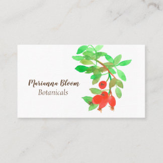 Carte De Visite Rosehips Rose Herbe Plante botanique Rouge
