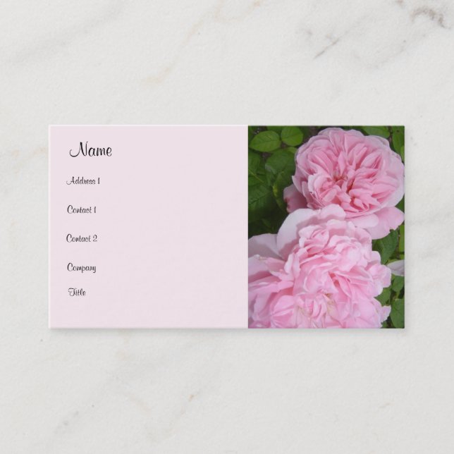 Carte De Visite Roses roses en fleurs (Devant)