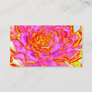Carte De Visite Rosette de Sedum Succulent Rose Chaud, Rouge et Ja