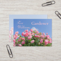 Rosier rose sous ciel bleu, coutume