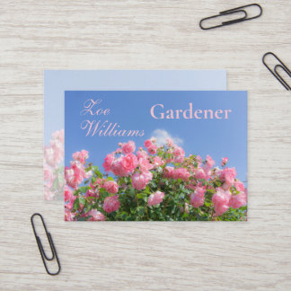 Carte De Visite Rosier rose sous ciel bleu, coutume