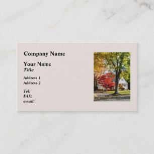 Carte De Visite Rue Automne Avec Arbre Rouge
