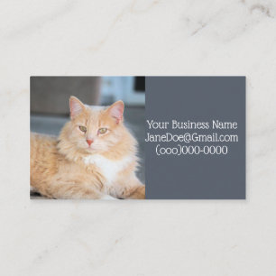 Carte De Visite Ruffles