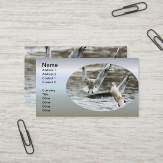 Carte De Visite Saguls en vol