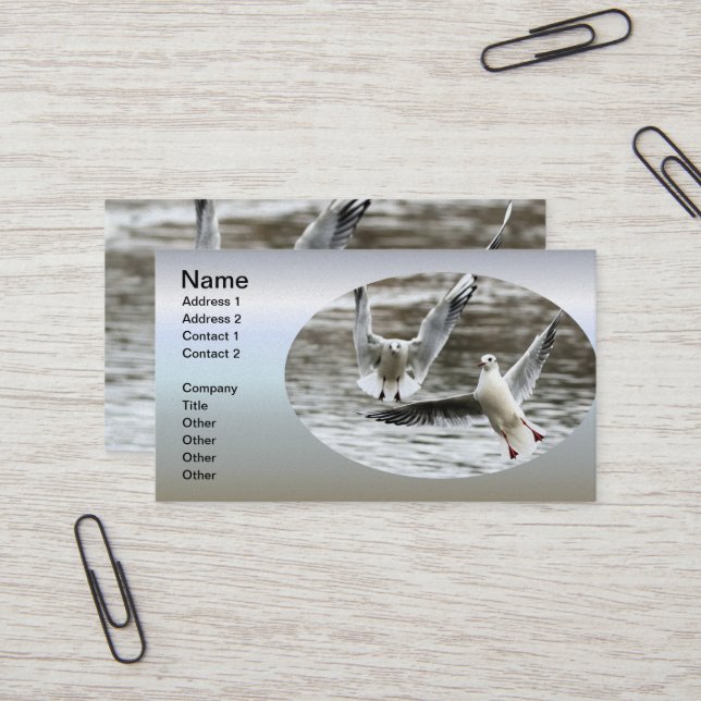 Carte De Visite Saguls en vol (Devant/Arrière en situation)