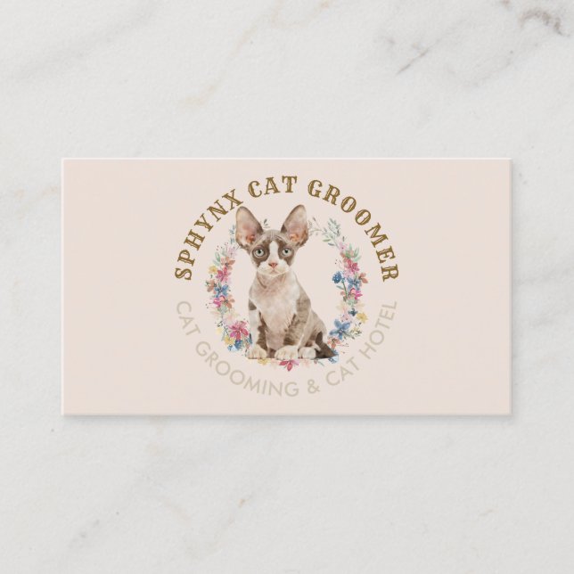 Carte De Visite Salon Beige Grossissant Animaux Spas Sphynx Chat (Devant)