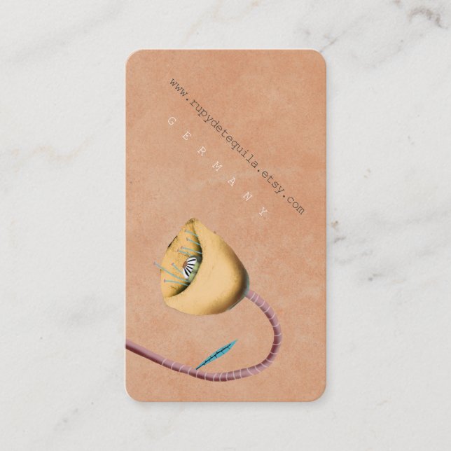 Carte De Visite Salon Fleur Orange Vintage (Devant)