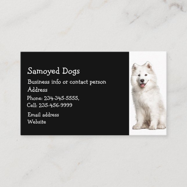 Carte De Visite Samoyé Chiens éleveur Animaux de compagnie (Devant)