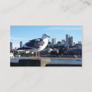 Carte De Visite san francisco birds