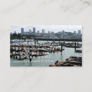 Carte De Visite San Francisco et Pier 39 Sea Lions City Skyline