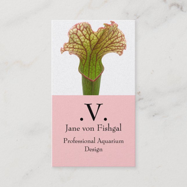 Carte De Visite Sarracenia Plante Pitcher (Devant)