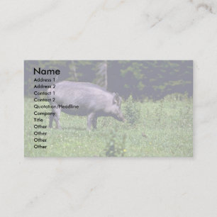 Carte De Visite Sauvage