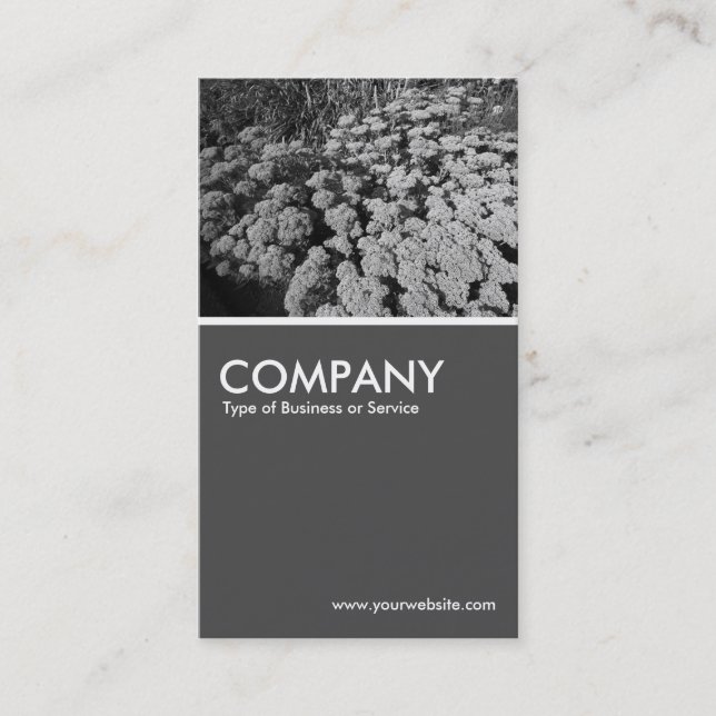 Carte De Visite Sedum Automne Joy (B&W) - 70pc Grey (Devant)