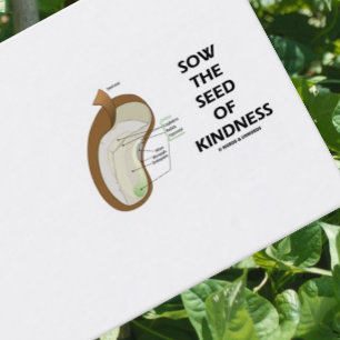 Carte De Visite Semence Des Graines D'Enduit (Graine De Haricots D