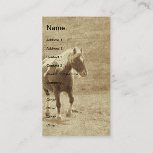 Carte De Visite Sepia Pinto Pony