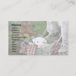 Carte De Visite Service se reposant d'animal familier fait sur