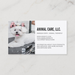 Carte De Visite Services aux animaux Maltese en toilettage