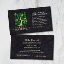 Services de chirurgien arboricole arboriste profes