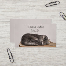 Services de gardiennage d'animaux Toilettage de ch