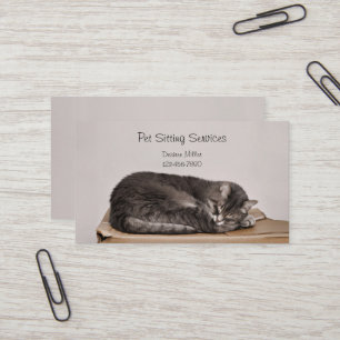 Carte De Visite Services de gardiennage d'animaux Toilettage de ch