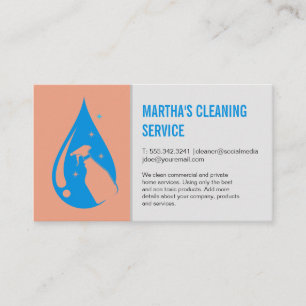 Carte De Visite Services de nettoyage   Logo du vaporisateur de ne