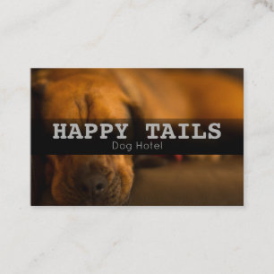 Carte De Visite Services d'hébergement personnalisés pour animaux 