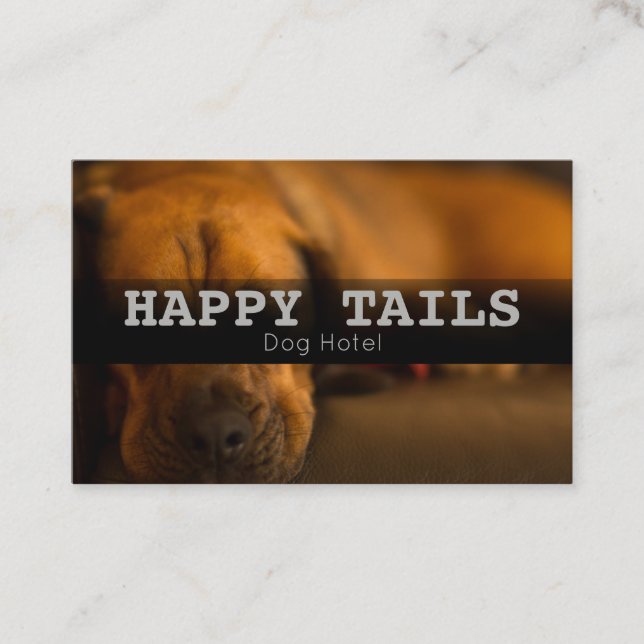 Carte De Visite Services d'hébergement personnalisés pour animaux  (Devant)