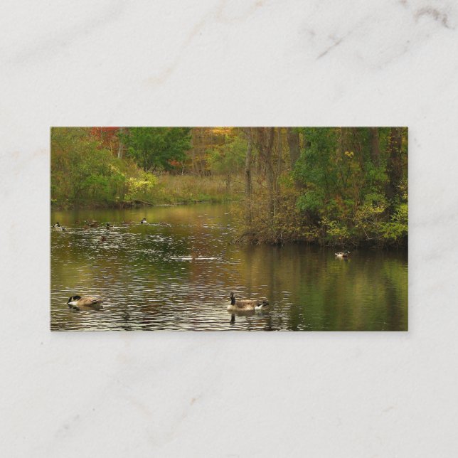 Carte De Visite Services Pond (Devant)