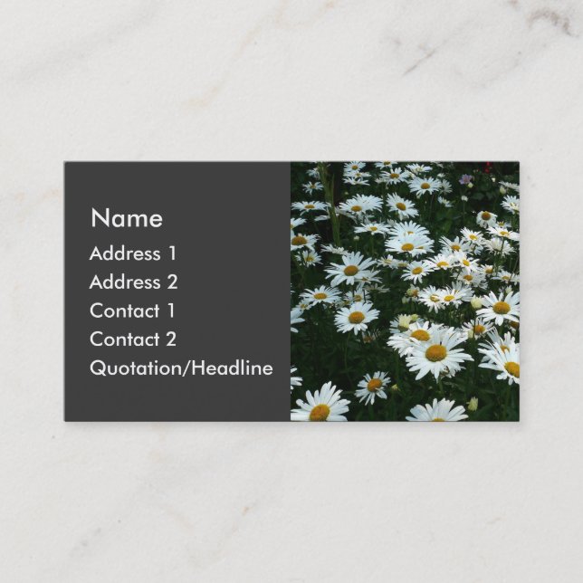 Carte De Visite Shasta Daisies (Devant)