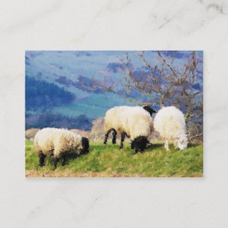 CARTE DE VISITE SHEEP