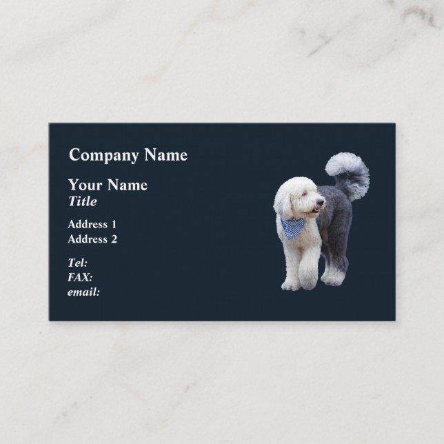 Carte De Visite Sheepadoodle avec écharpe à carreaux bleus (Devant)
