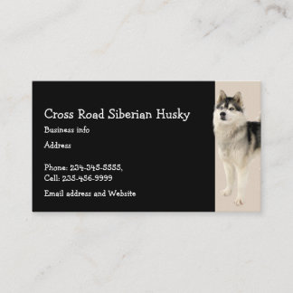 Carte De Visite Sibérie Husky Chien Animal animal de compagnie