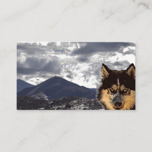Carte de visite sibérien Husky