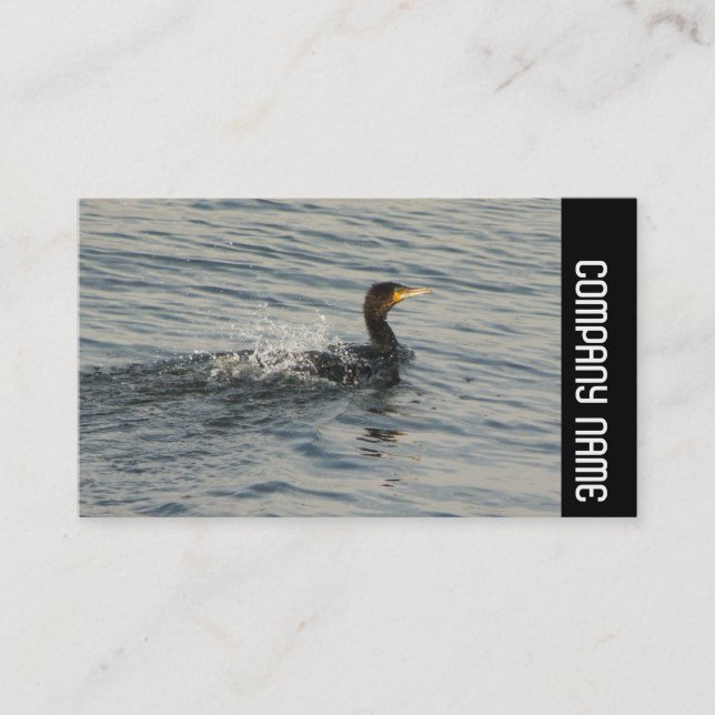 Carte De Visite Side Band - Cormorant Apprendre à nager (Devant)