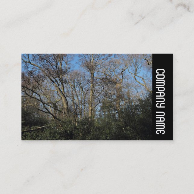 Carte De Visite Side Band - Dancing Trees (Devant)